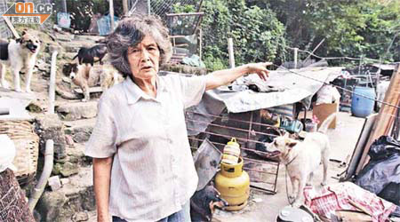 地政署清拆黃婆婆搭建讓貓狗棲身的木屋。	（李健瑜攝）