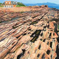 東平洲擁有香港最年輕的岩石，僅有五千五百萬年歷史，但層層平疊形狀獨特。