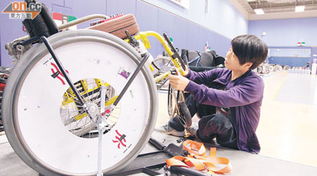 除訓練運動員外，曹萍亦為運動員檢查及修理輪椅。