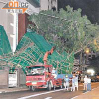 九龍城<br>露明道一幅棚架被風吹倒，工人忙於清理。