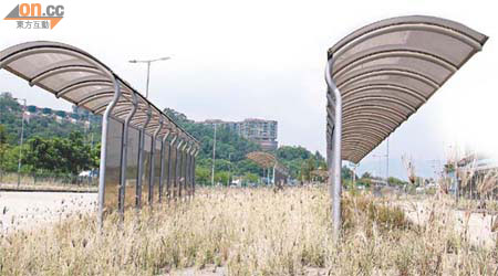 長期丟空的車站候車亭長滿雜草。	（蘇偉明攝）