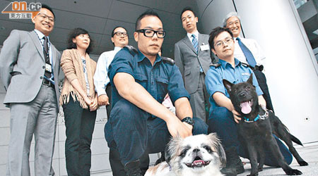 六歲大的北京狗女Kidd（前左）天生膝蓋鬆脫，與兩個月大的唐狗女Bliss（前右）分別被主人遺棄。（蘇文傑攝）