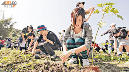 約百名市民昨齊集元朗一個農莊，種植非基因改造木瓜苗，以示支持本地非基因改造農產品。（高嘉業攝）