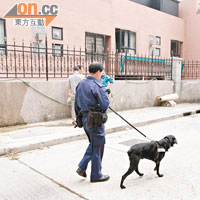警員帶同警犬於附近兜截，遇竊豪宅外有圍牆及防盜鐵欄。（趙瑞麟攝）