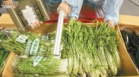 香港食環署人員在機場測試日本進口蔬菜，但四個受輻射影響縣區的農產品，可能已輸入香港。（資料圖片）