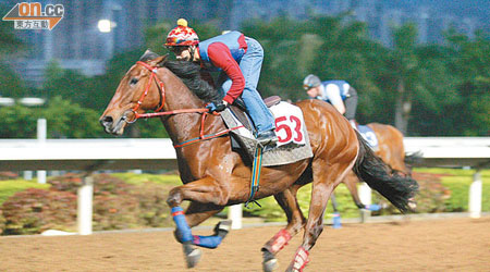 許仕仁將拍賣名下馬匹「各適其適」，拍賣價估計逾三百萬港元。
