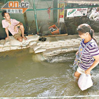 湄南河因天文潮漲影響昨日仍水深及膝，途人要在架起的沙包上行走。