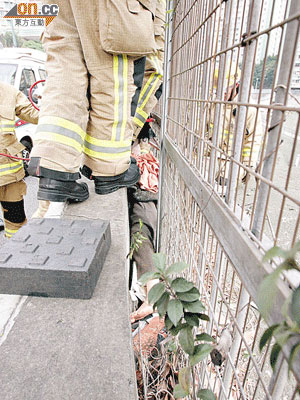 老婦被夾在鐵絲網與石壆間窄隙，消防員設法拯救。（林少兒攝）