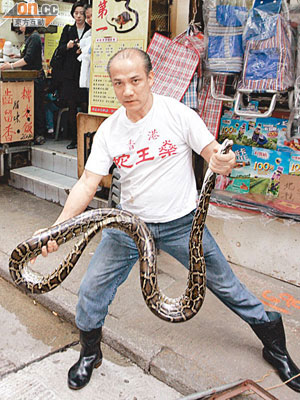 蛇王燊展示捕獲的蟒蛇。（馬竟峯攝）