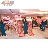 香港中國國術龍獅總會期望透過國際龍獅功夫節，宣揚中國傳統龍獅表演藝術及功夫。