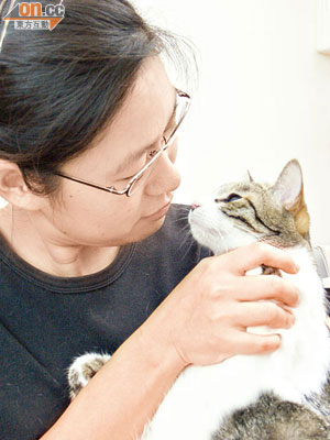 研究發現成年後才首次飼養貓隻的人較易患過敏症。