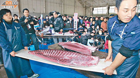 重一百七十公斤的頂級吞拿魚即場切成刺身，吸引大批居民圍觀。（特派記者孫冰玉攝）