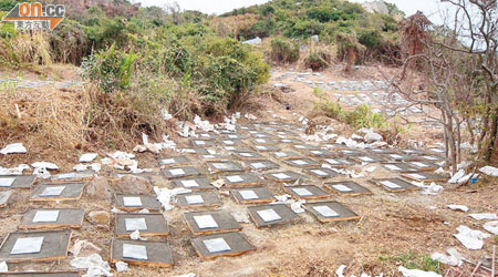 蒲台島突現逾千塊混凝土板，村民懷疑有人發展墓地。部分新造混凝土板尚未凝固，外圍木板也未拆走。（關萬亨攝）