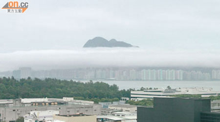 天氣驟寒驟暖，一層薄霧猶如腰帶繞山，又如雲海仙境活現。（陳德賢攝）