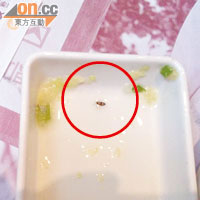 昨日網上流傳兩張相片，在薑蓉內發現小蟑螂屍體（紅圈示）。