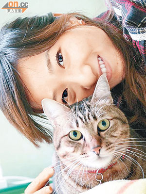 香港愛貓之人眾多，貓隻的健康變化均會牽動主人們的心情起伏。