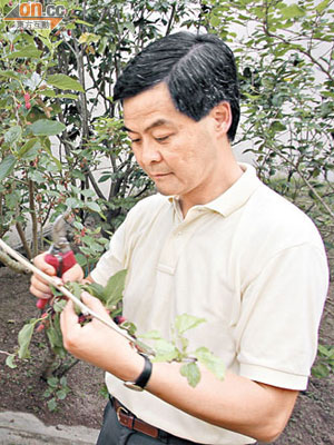 梁振英愛務農，但近來忙於選舉，家裏花園的農作物也無暇兼顧。（資料圖片）