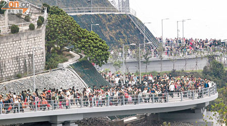 將軍澳新建的行人路寬闊平坦，吸引大批市民使用。