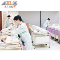 承辦大埔或香港仔新私家醫院的產科數目不多於整體病床兩成。