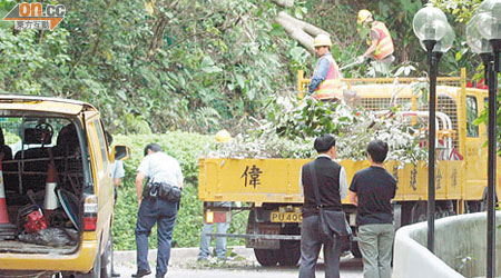 工人到場清理塌下阻路的大樹。（吳遠輝攝）