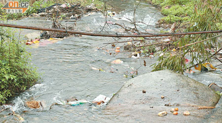 每逢下雨過後，果皮、塑膠袋都會湧入東江源頭。
