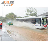 田廈路的路面水浸，車輛濺起水花。（黃君堡攝）