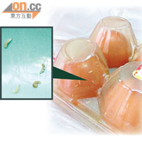 雞蛋擺放在室溫環境不足一周，蛋殼孳生大量白色蛆蟲（箭嘴示），並發出惡臭。