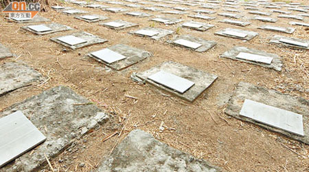 本報率先披露有人在蒲台島發展骨灰龕場。（資料圖片）