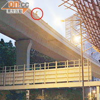 企跳女子（圓圈示）危站離地近十五米高的行車天橋。