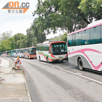 每逢假日，已開放的沙頭角區內，常有旅遊巴經常霸佔整條行車道的情況。（讀者提供）