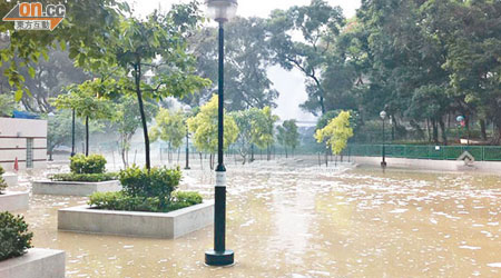 荃灣國瑞路公園被鹹水淹浸，變成澤國。（讀者提供）