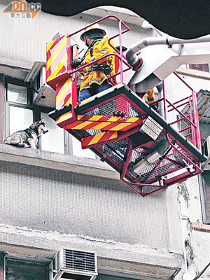 消防架起升降台救狗。（讀者譚先生提供）