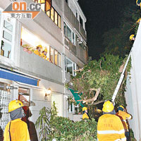 消防員到壽臣山道西豪宅清理塌樹。（呂浩鋒攝）
