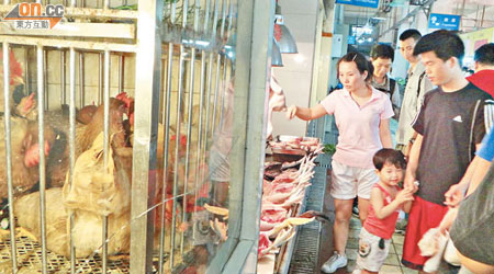 廣州海珠區的街市出售活家禽，病童發病前曾到訪，懷疑因此中招。（資料圖片）