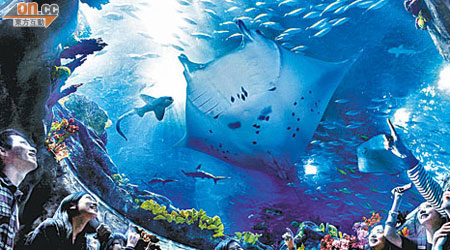 香港海洋公園躋身全球主題公園第十二位之列。