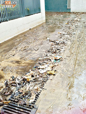 每逢大雨過後，小學側門行人路滿地泥濘。（讀者提供）