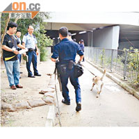 警員帶同警犬到場蒐證及調查。