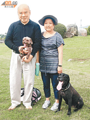 梁青華夫婦帶兩隻愛犬到彭福公園玩，較大嗰隻就係退休女警犬Connie。（何偉鴻攝）