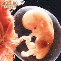 研究發現子宮內膜上皮細胞鈉離子通道受刺激，使胚胎着床成孕。