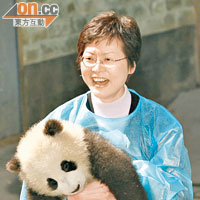 ○七年出任民政事務局常秘時，到四川臥龍探望大熊貓。