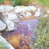 肇事地點附近的溪水懷疑被苯酚污染後呈深紅色。