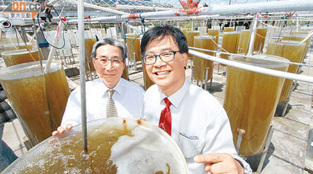 何建宗（右）及公開大學校長梁智仁（左）昨到深圳視察微藻試驗基地。（梁耀榮攝）
