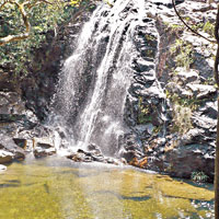屏南石澗有多個瀑布水潭。（互聯網圖片）