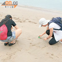 市民自發攜帶工具到愉景灣泳灘清理膠粒。（李西全攝）