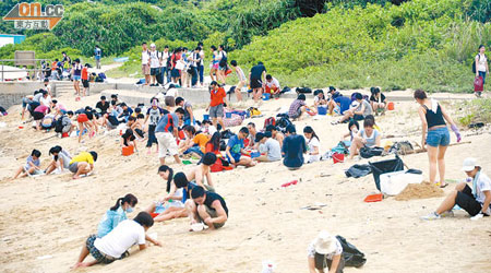 逾千市民昨自發到南丫島石排灣清理膠粒。（海洋公園提供）
