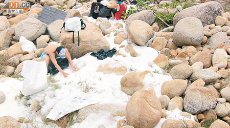 南丫島石排灣滿布膠粒，就連石縫也被填滿，像剛落雪一樣。（綠色力量、南丫部落提供）