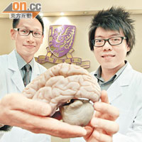 中大的研究有望為不治之症—小腦萎縮症帶來治療希望。左為陳浩然，右為蔡浩。