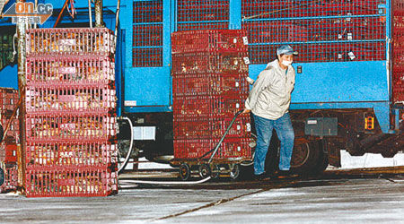 長沙灣臨時家禽批發市場「臨時」了卅八年，鄰近居民飽受滋擾。（資料圖片）