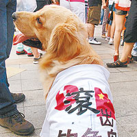 福州市民帶愛犬上街反日。（中新社圖片）