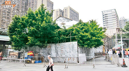搭建的舞台將廣場的一棵大樹圍封。